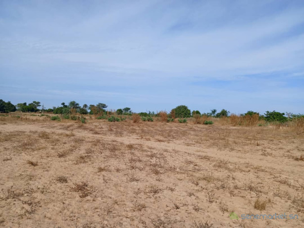 terrain-de-208-hectares-vers-tassette-big-2