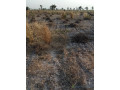 terrain-de-8-hectares-vers-pass-koto-small-0