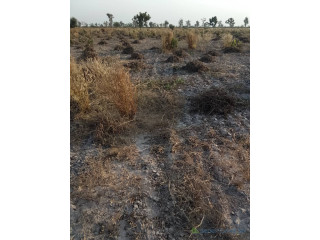 Terrain de 8 hectares vers Pass koto