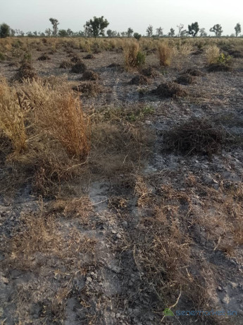 terrain-de-8-hectares-vers-pass-koto-big-2