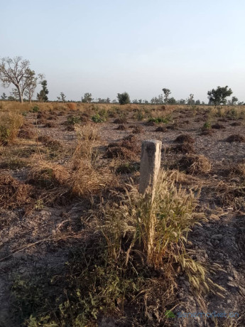 terrain-de-8-hectares-vers-pass-koto-big-1
