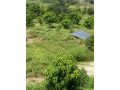 exploitation-agricole-de-250-hectares-vers-sandiara-small-1