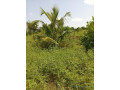 exploitation-agricole-de-250-hectares-vers-sandiara-small-0