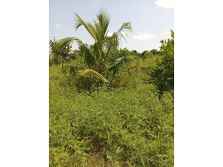 Exploitation agricole de 2,50 hectares vers Sandiara