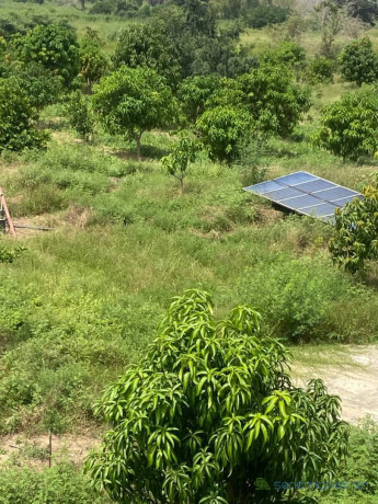 exploitation-agricole-de-250-hectares-vers-sandiara-big-1