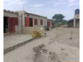 exploitation-agricole-de-104-hectare-vers-touba-toul-small-2