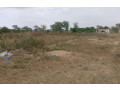 exploitation-agricole-de-104-hectare-vers-touba-toul-small-0