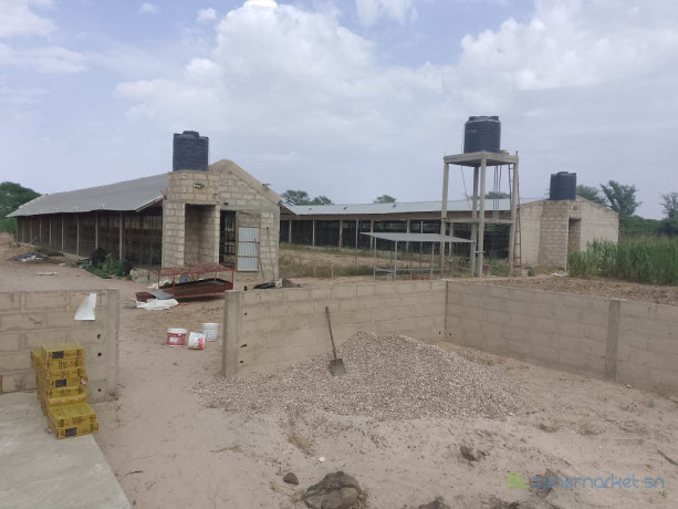 exploitation-agricole-de-104-hectare-vers-touba-toul-big-1