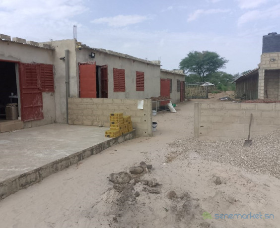 exploitation-agricole-de-104-hectare-vers-touba-toul-big-2