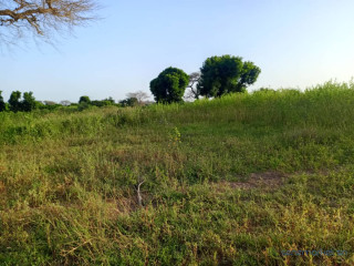 Terrain de 8 460 m² vers Tassette