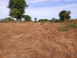 Terrain de 6 654 m² vers Tassette