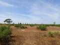 terrain-de-128-hectare-vers-tassette-small-1