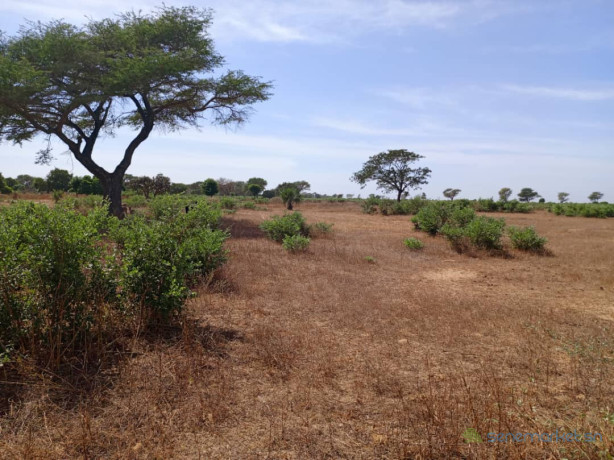 terrain-de-128-hectare-vers-tassette-big-0