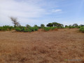 terrain-de-690-hectares-vers-tassette-small-2