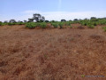 terrain-de-690-hectares-vers-tassette-small-1