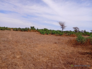 Terrain de 6,90 hectares vers Tassette
