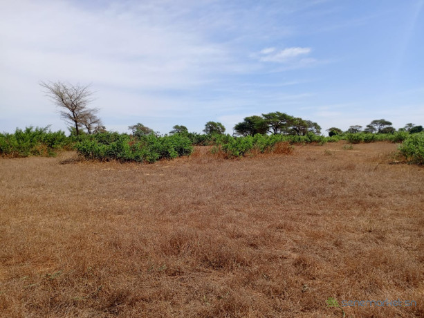 terrain-de-690-hectares-vers-tassette-big-2