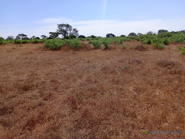 terrain-de-690-hectares-vers-tassette-big-1
