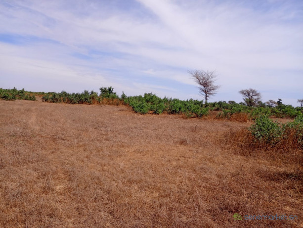 terrain-de-690-hectares-vers-tassette-big-0