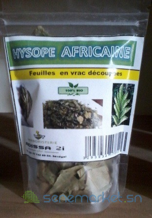 feuilles-dhysope-africaine-big-1