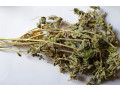roi-des-herbes-small-1