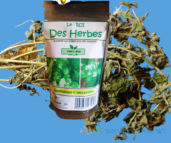 roi-des-herbes-big-2