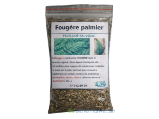 FOUGERE PALMIER