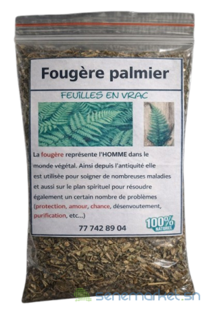 fougere-palmier-big-0