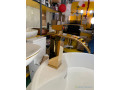 vasque-blanc-avec-un-robinet-mitigeur-arc-dore-small-1