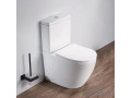 chaise-anglaise-ross-avec-douchette-small-0
