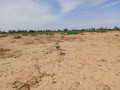 terrain-agricole-de-201-hectares-vers-notto-diobass-thies-small-1