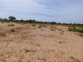 terrain-agricole-de-201-hectares-vers-notto-diobass-thies-small-2