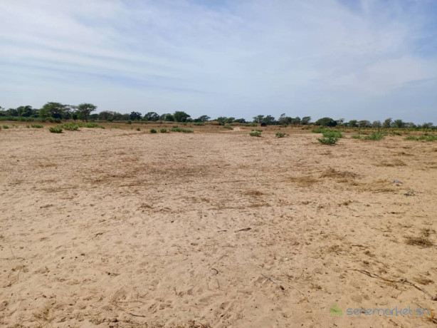 terrain-agricole-de-201-hectares-vers-notto-diobass-thies-big-0