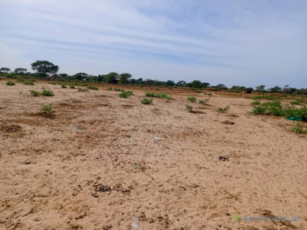 terrain-agricole-de-201-hectares-vers-notto-diobass-thies-big-2