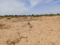 terrain-agricole-de-208-hectares-vers-tassette-thies-small-0