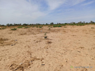 Terrain Agricole de 2,08 Hectares vers Tassette Thiès
