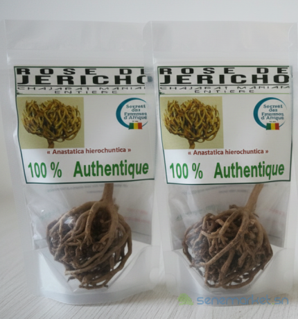 rose-de-jericho-big-0