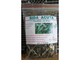 SIDA ACUTA