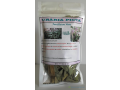 uraria-picta-small-0