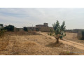 terrain-de-250-metres-carres-a-vendre-a-gandigal-ouest-small-0