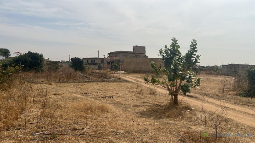 terrain-de-250-metres-carres-a-vendre-a-gandigal-ouest-big-0