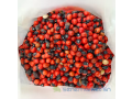 abrus-precatorius-ou-oeil-de-serpent-small-1