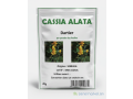 cassia-alata-small-0