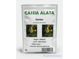 CASSIA ALATA