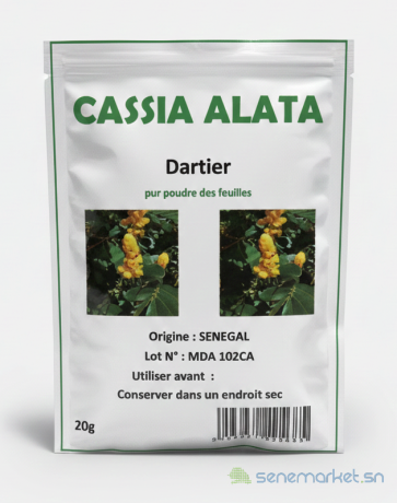 cassia-alata-big-0