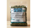 feuilles-de-sene-small-0