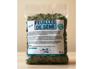 FEUILLES DE SENE