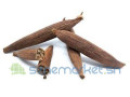 jujube-africain-small-1