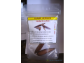 jujube-africain-small-0