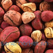 poudre-de-cola-nitida-big-1